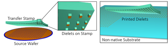 Schematic of the micro-transfer print (µTP) process.