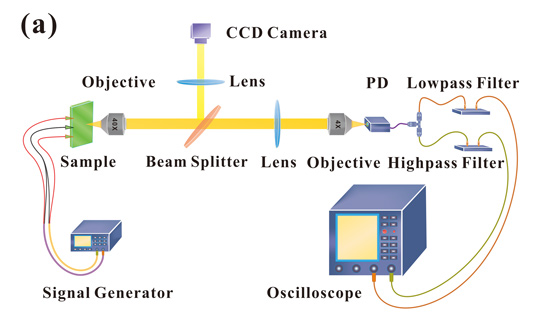 Figure 2a