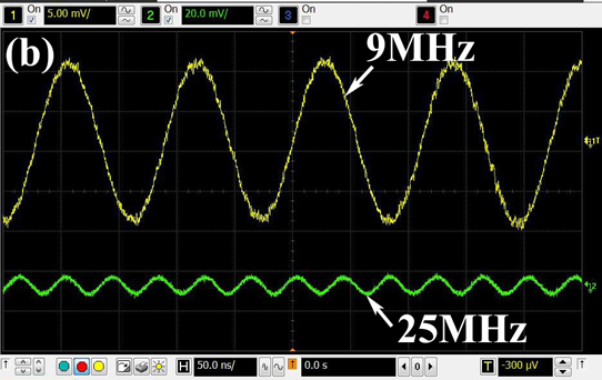 Figure 2b