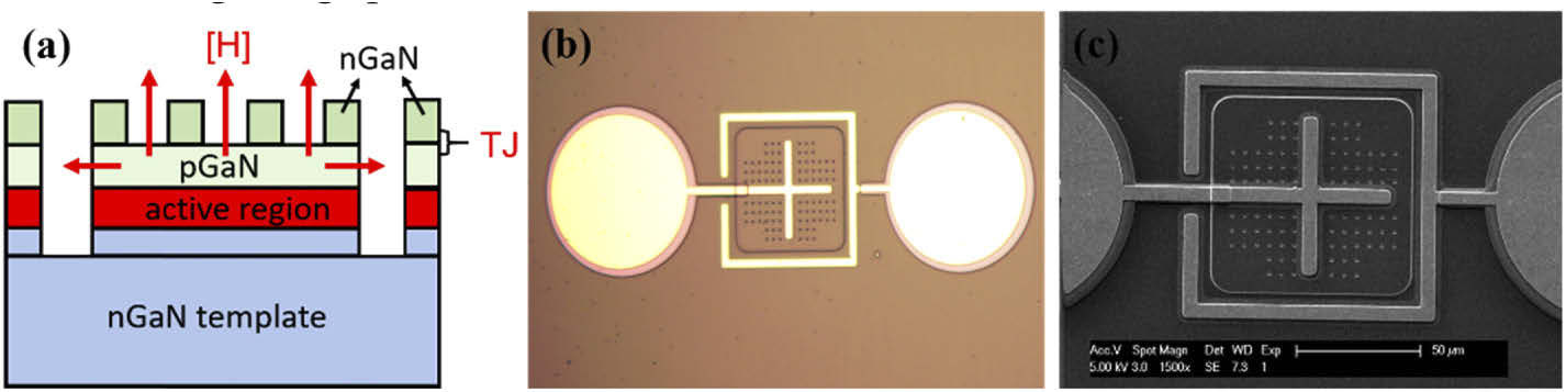 Figure 1: (a) Schematic structure of GaN TJ μLEDs through SAG; (b) microscope and (c) scanning electron microscope images of fabricated 80μmx80μm device.