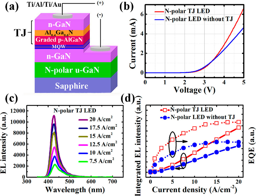 Figure 2: (a) Schematic diagram of TJ LED under electroluminescence (EL) operation. (b) Current-voltage curves of tunnel-junction and reference LEDs. (c) EL spectra of TJ LED under varying current density. (d) Integrated EL intensity and relative EQE of tunnel-junction and reference LEDs versus current density