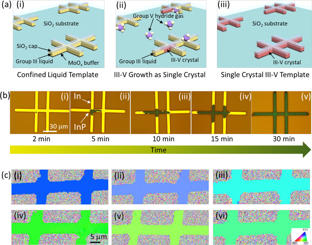 Figure 1: (a) Overview of large-area TLP growth. (b) (i)–(vi) Representative gray-scale optical microscope (OM) images of different stages of growth of InP in Hall-element geometry. (c) (i)–(vi) EBSD maps indicating single crystallinity.