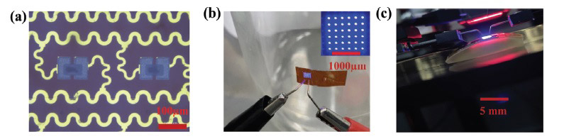 Figure 3. Flexible micro-LED display prototypes. 