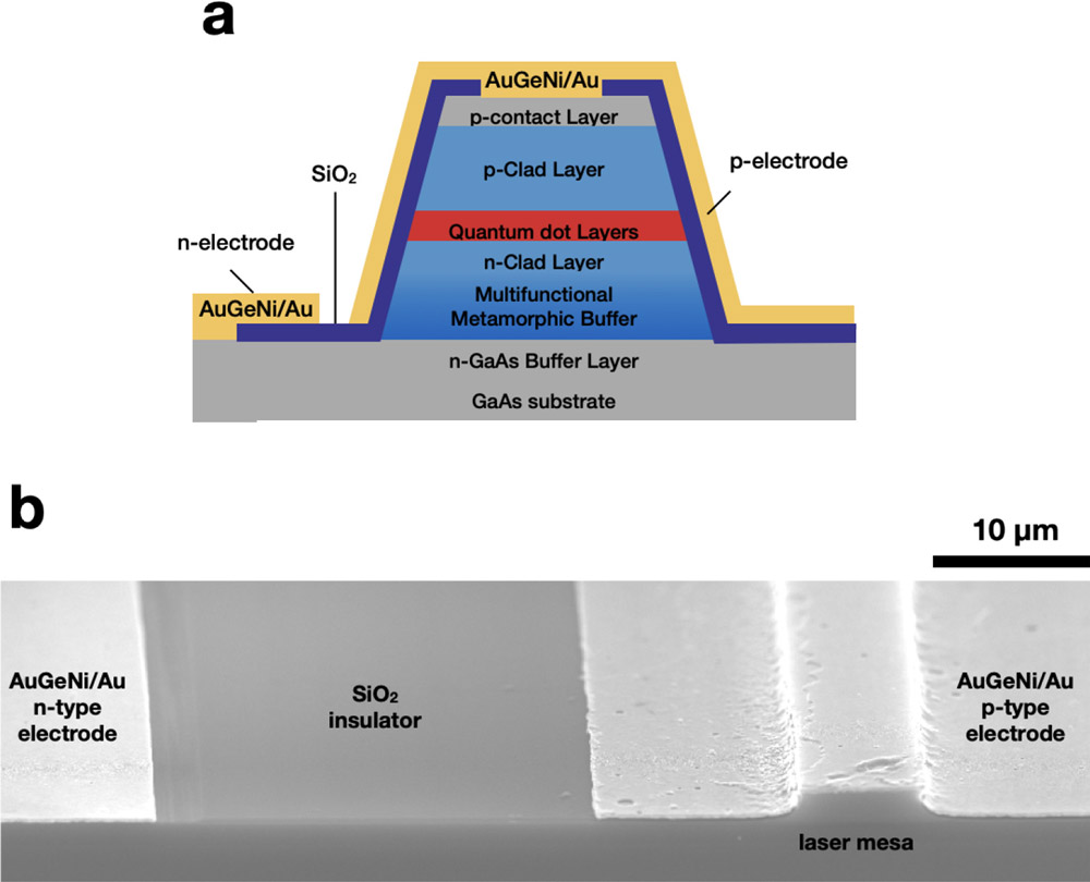 Figure 1: (a) Schematic and (b) scanning electron microscope images of InAs/InGaAs QD laser device on MFMB layer.